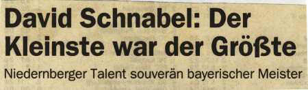 Zeitungsberichte und mehr